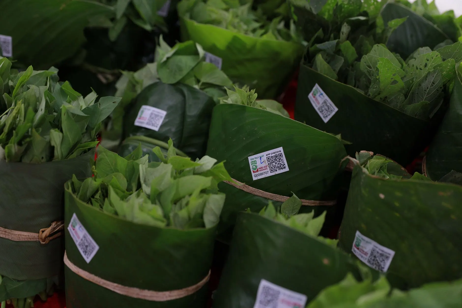 昆明家居百货行业2025年政策解读与新规要点分析