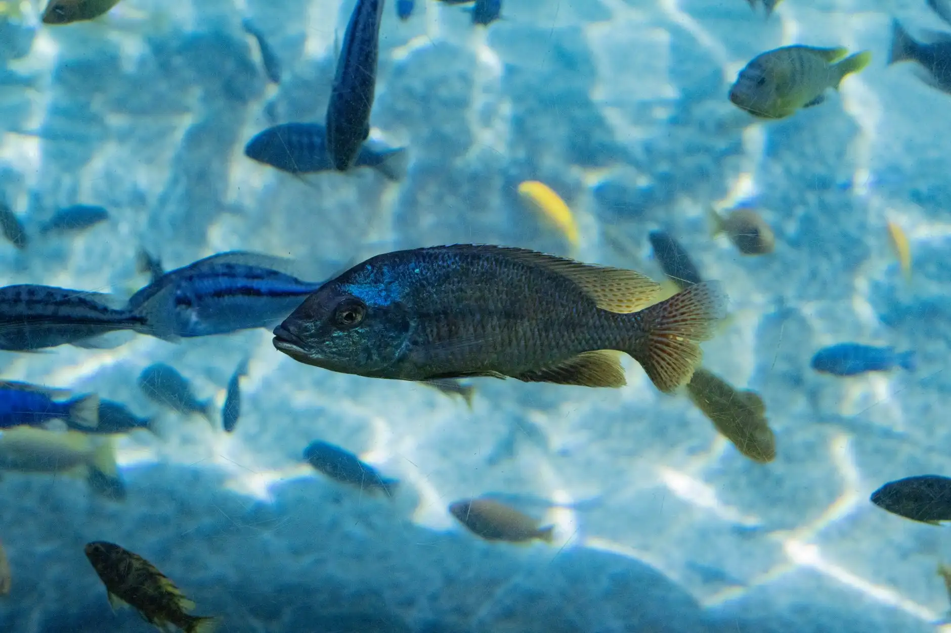 昆明榕慧百货拖把与扫把产品型号参数对比分析