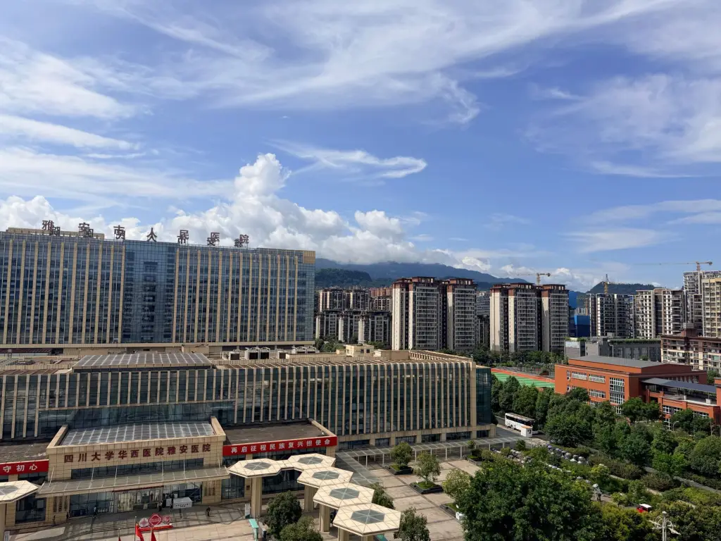 昆明社区家庭清洁用品选购指南：拖把与垃圾桶搭配推荐