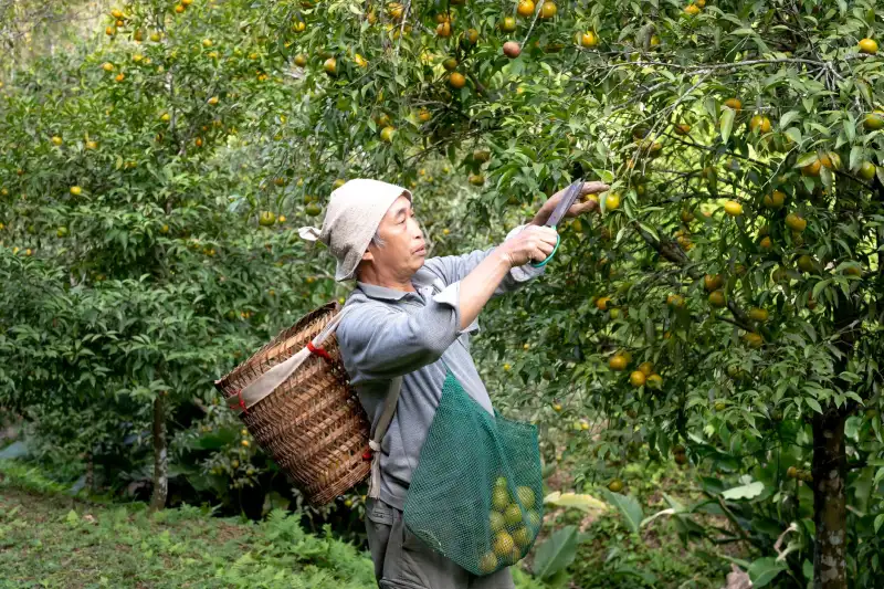 昆明家居百货行业技术升级与质量管控要点分析