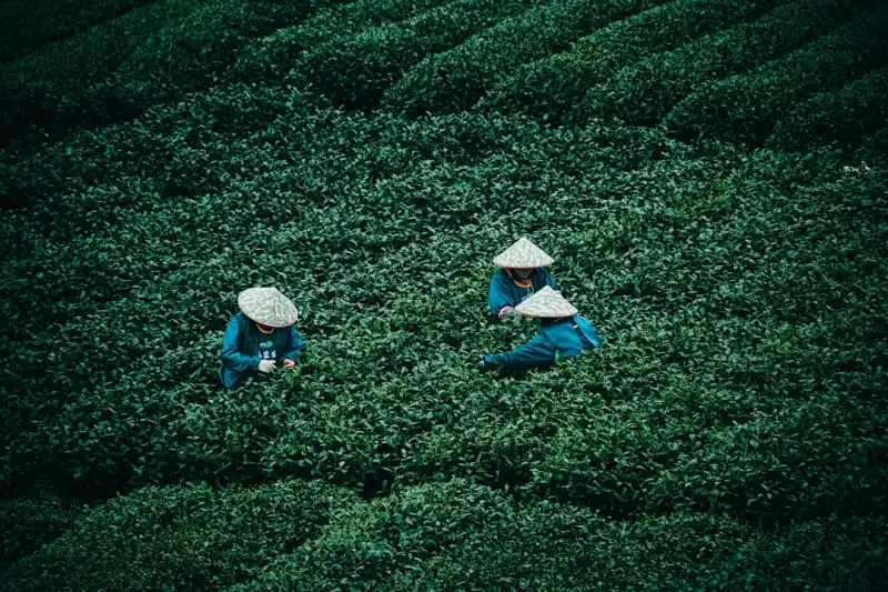 昆明社区家庭清洁用品选购指南：垃圾桶与拖把的搭配方案