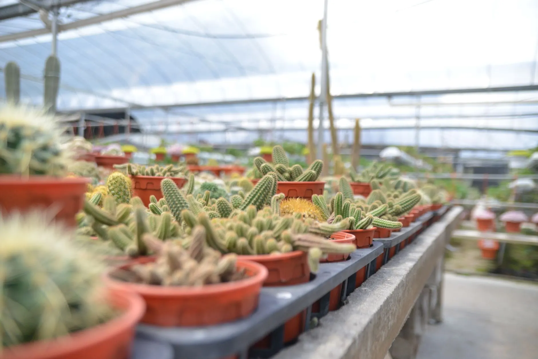 家居百货零售行业观察：昆明社区生活用品消费需求呈现新变化