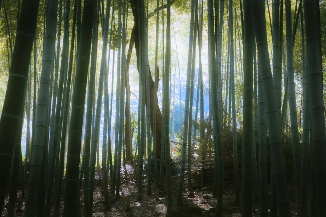 昆明社区家居百货零售观察：榕慧百货如何以实惠价格满足日常居家清洁需求